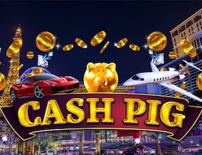 Cash Pig